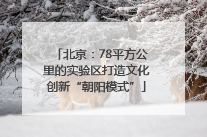 北京：78平方公里的实验区打造文化创新“朝阳模式”