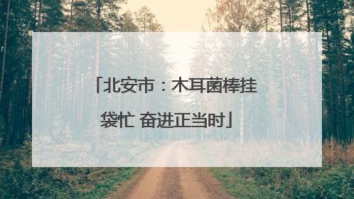 北安市：木耳菌棒挂袋忙 奋进正当时