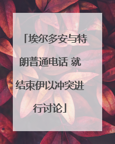 埃尔多安与特朗普通电话 就结束伊以冲突进行讨论