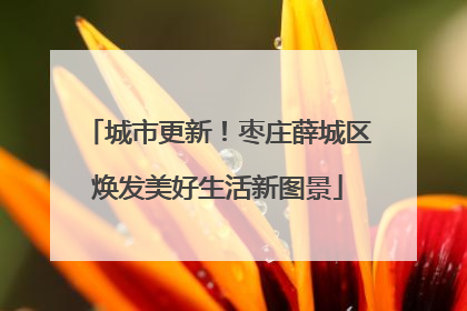 城市更新！枣庄薛城区焕发美好生活新图景