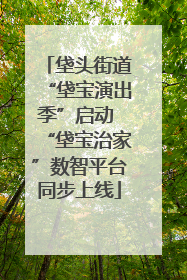 垡头街道“垡宝演出季”启动 “垡宝治家”数智平台同步上线