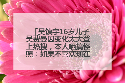 吴镇宇16岁儿子吴费曼因变化太大登上热搜，本人晒搞怪照：如果不喜欢现在的我可以离开