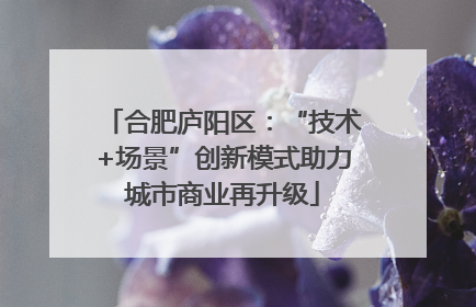 合肥庐阳区：“技术+场景”创新模式助力城市商业再升级