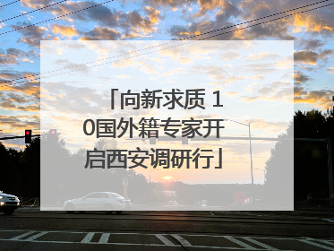 向新求质 10国外籍专家开启西安调研行
