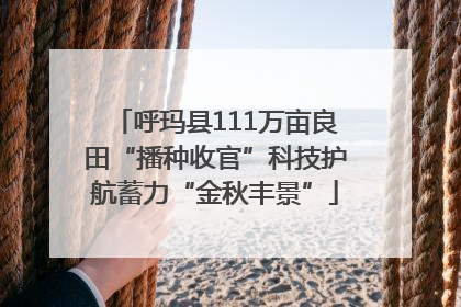 呼玛县111万亩良田“播种收官”科技护航蓄力“金秋丰景”