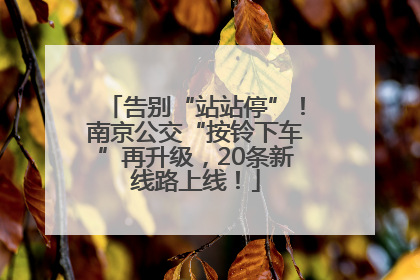 告别“站站停”！南京公交“按铃下车”再升级，20条新线路上线！