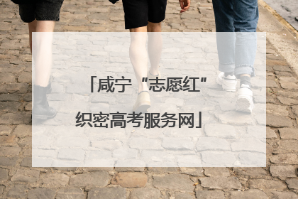 咸宁“志愿红”织密高考服务网