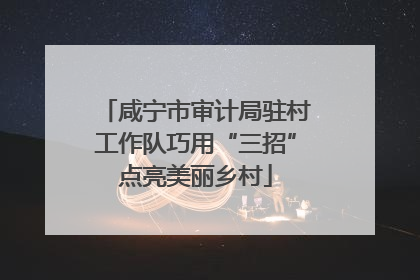 咸宁市审计局驻村工作队巧用“三招”点亮美丽乡村
