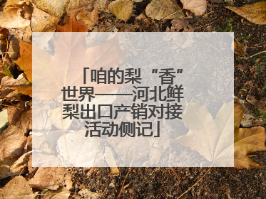 咱的梨“香”世界——河北鲜梨出口产销对接活动侧记