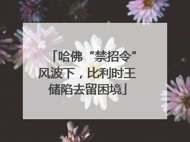 哈佛“禁招令”风波下，比利时王储陷去留困境