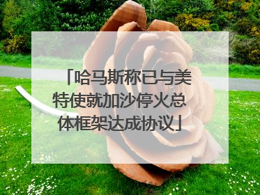 哈马斯称已与美特使就加沙停火总体框架达成协议