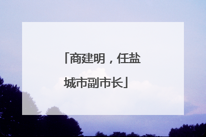 商建明，任盐城市副市长