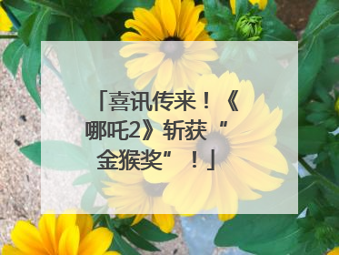 喜讯传来！《哪吒2》斩获“金猴奖”！