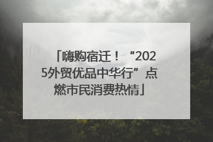 嗨购宿迁！“2025外贸优品中华行”点燃市民消费热情