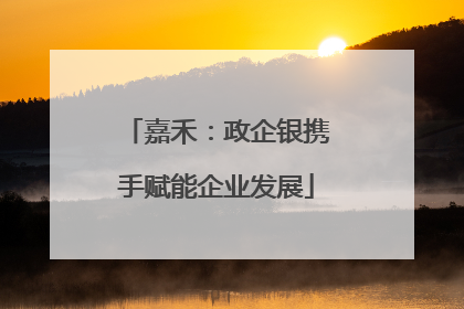 嘉禾：政企银携手赋能企业发展