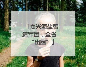 嘉兴海盐智造军团，全省“出圈”