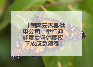 国网云霄县供电公司：举行迎峰度夏暨调度权下放应急演练