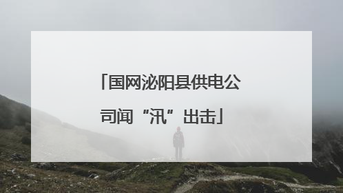 国网泌阳县供电公司闻“汛”出击