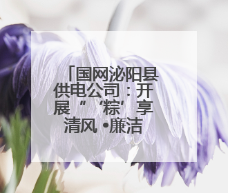 国网泌阳县供电公司：开展“‘粽’享清风 •廉洁端午”活动