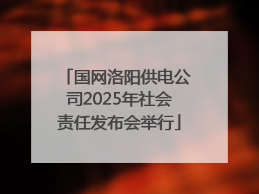 国网洛阳供电公司2025年社会责任发布会举行