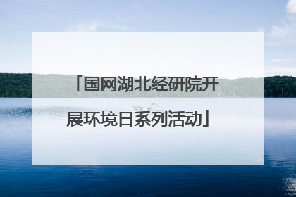 国网湖北经研院开展环境日系列活动