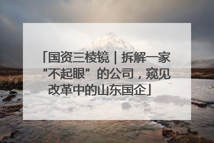 国资三棱镜｜拆解一家“不起眼”的公司，窥见改革中的山东国企