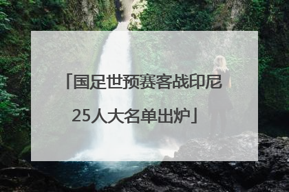 国足世预赛客战印尼25人大名单出炉