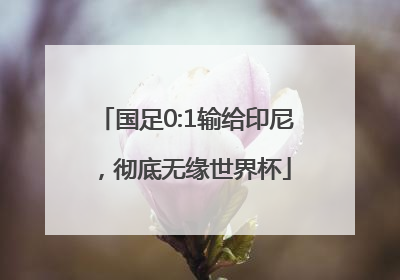 国足0:1输给印尼，彻底无缘世界杯