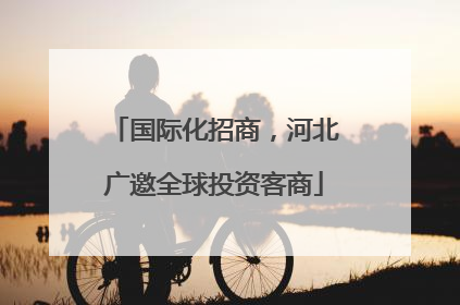 国际化招商，河北广邀全球投资客商