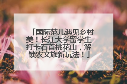 国际范儿遇见乡村美！长江大学留学生打卡石首桃花山，解锁农文旅新玩法！