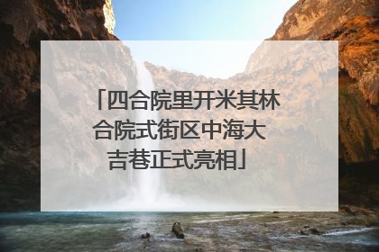 四合院里开米其林 合院式街区中海大吉巷正式亮相