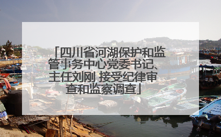 四川省河湖保护和监管事务中心党委书记、主任刘刚 接受纪律审查和监察调查