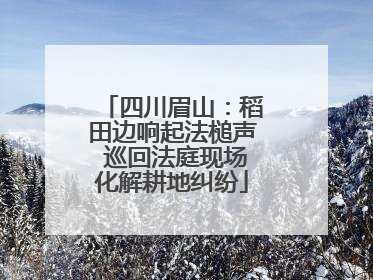 四川眉山：稻田边响起法槌声 巡回法庭现场化解耕地纠纷