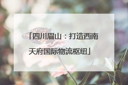 四川眉山：打造西南天府国际物流枢纽