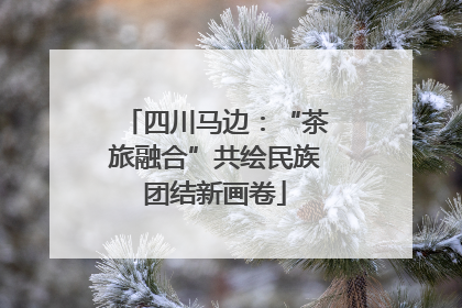 四川马边：“茶旅融合”共绘民族团结新画卷