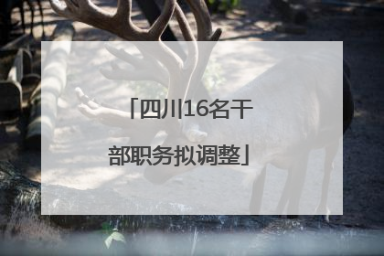 四川16名干部职务拟调整