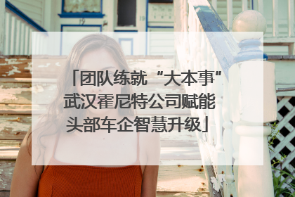 团队练就“大本事” 武汉霍尼特公司赋能头部车企智慧升级