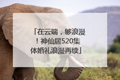 在云端，够浪漫！神仙居520集体婚礼浪漫再续
