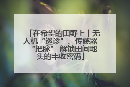 在希望的田野上丨无人机“巡诊”、传感器“把脉” 解锁田间地头的丰收密码