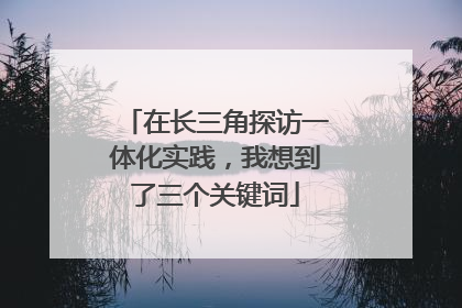 在长三角探访一体化实践，我想到了三个关键词