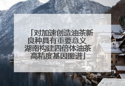 对加速创造油茶新良种具有重要意义 湖南构建四倍体油茶高精度基因图谱