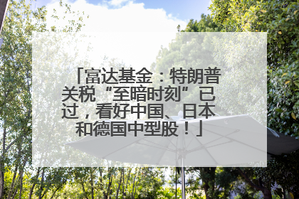 富达基金：特朗普关税“至暗时刻”已过，看好中国、日本和德国中型股！