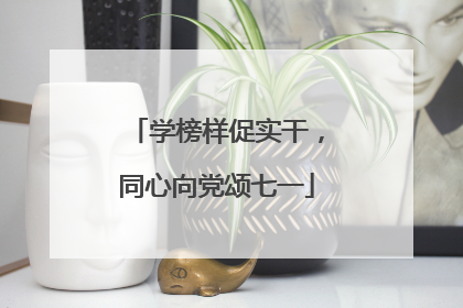 学榜样促实干，同心向党颂七一