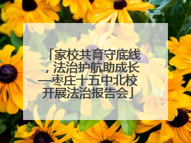 家校共育守底线，法治护航助成长—枣庄十五中北校开展法治报告会