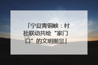 宁夏青铜峡：村社联动共绘“家门口”的文明图景