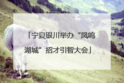 宁夏银川举办“凤鸣湖城”招才引智大会