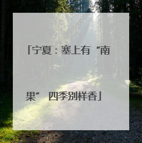 宁夏：塞上有“南果” 四季别样香