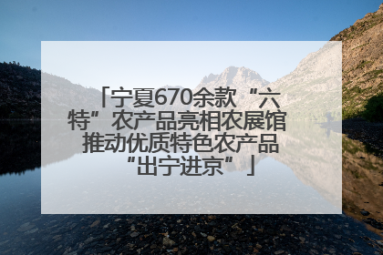 宁夏670余款“六特”农产品亮相农展馆 推动优质特色农产品“出宁进京”