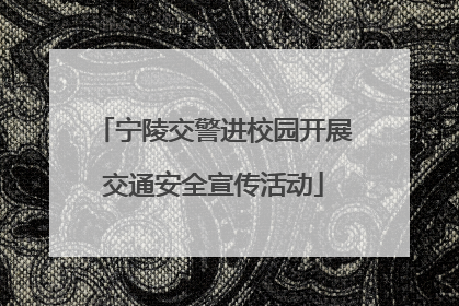 宁陵交警进校园开展交通安全宣传活动