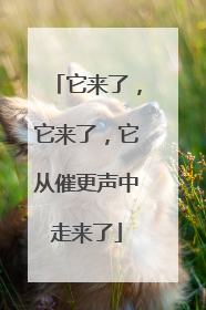 它来了，它来了，它从催更声中走来了